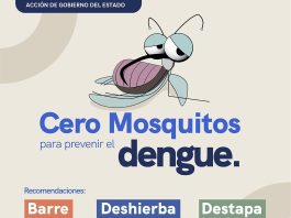 La Secretaría de Salud continúa con acciones de vigilancia y prevención del dengue