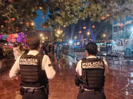 Fueron remitidas a Juzgado Cívico 376 personas aseguradas por la Secretaría de Seguridad Pública Municipal de Querétaro