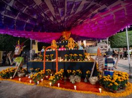 El Marqués celebrará el Día de Muertos con un festival cultural y familiar en La Cañada